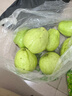 京鮮生白心芭樂(lè )凈重4.5斤單果150g+ 番石榴 脆果 新鮮水果源頭直發(fā)包郵 曬單實(shí)拍圖