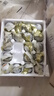 竹燕青烤海鴨蛋80g*20枚特大蟹香流油北海紅樹(shù)林散養開(kāi)袋即食熟咸鴨蛋 曬單實(shí)拍圖