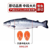 朵芙 三文魚(yú)排 500g* 2包 三文魚(yú)扒挪威三文魚(yú) 輪切魚(yú)排海鮮水產(chǎn) 生鮮 輪切魚(yú)排凈 2斤 （500g*2包） 曬單實(shí)拍圖
