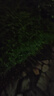 多美憶生日?qǐng)鼍安贾媚泻⑸諝馇虻谰叻諊贾脠?chǎng)景兒童派對(duì)裝飾太空桌飄 曬單實(shí)拍圖