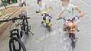 鳳凰（PHOENIX） 鳳凰自行車(chē)可折疊山地車(chē)路虎男士成年人變速女式越野公路單車(chē) 條輪消灰/折疊雙避震/全競速軸承 24寸24速【參考：138-168cm】 曬單實(shí)拍圖