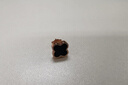 Grace Girl四葉草耳釘女韓版簡(jiǎn)約氣質(zhì)時(shí)尚百搭耳飾七夕情人節(jié)生日禮物送女友 曬單實(shí)拍圖