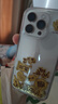 秒揚 流沙金箔財神爺適用蘋果16promax手機(jī)殼iPhone15全包防摔14pro透明13新款國潮12小眾高級感 金箔流沙發(fā)財 iPhone 16pro 曬單實拍圖