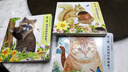 小手摸摸大自然觸摸書嬰兒觸摸動物亮麗精美觸摸書幼兒早教繪本小兔比利寶寶1歲半幼兒啟蒙不爛觸感刺激認知讀物0-1-2-3歲洞洞翻翻硬殼仿真書籍 【購買全套】小手摸摸大自然觸摸書全7冊 曬單實拍圖