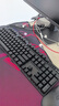雷柏（Rapoo） V500PRO 有線背光機械鍵盤 104鍵全尺寸游戲電競筆記本電腦多媒體辦公吃雞全鍵無沖鍵盤 黑軸 曬單實拍圖