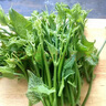 【嫩芽尖尖】豌豆尖250g(長度≤15cm) 曬單實拍圖