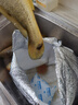 鴻順【冰鮮】黃花魚4條4斤 生鮮魚類 寧德大黃魚 地標產(chǎn)品 源頭直發(fā) 曬單實拍圖