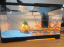 闊庭（KUOTING）魚(yú)缸一體缸自循環(huán)免換水魚(yú)缸家用小型桌面魚(yú)缸生態(tài)魚(yú)缸小魚(yú)缸黑色 曬單實(shí)拍圖