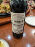 CANIS FAMILIARIS布多格 法國原瓶進口紅酒 騎士干紅葡萄酒 750ml*6支禮盒整箱裝 曬單實拍圖