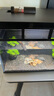 米家（MIJIA）智能生態(tài)魚(yú)缸還原自然生態(tài)智能魚(yú)缸+米家生化濾芯 曬單實(shí)拍圖