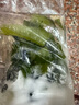 大連 鮮海帶 鹽漬裙帶菜梗  鹽漬海白菜裙帶菜蝦皮湯火鍋食材 鹽漬裙帶菜梗500g 曬單實(shí)拍圖