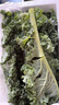 羽衣甘藍新鮮生鮮蔬菜嫩葉甘蘭芥藍西餐沙拉榨汁減肥減脂 羽衣甘藍減脂嘗鮮裝1斤 曬單實(shí)拍圖