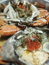【包活到貨】大號青蟹鮮活紅膏母蟹野生螃蟹中秋過(guò)年海鮮水產(chǎn)禮盒 1斤公蟹（2只） 曬單實(shí)拍圖