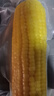 佳農 東北水果玉米棒6袋*220g 真空包裝 開(kāi)袋即食 可烘培 源頭直發(fā) 曬單實(shí)拍圖