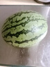 京鮮生 龐各莊手剝小西瓜 2粒裝 凈重4-5斤  源頭直發(fā) 曬單實拍圖