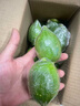 果園直發(fā)】正宗無(wú)籽廣東香水檸檬一級果【夏果】鴨屎香奶茶店專(zhuān)用 優(yōu)選一級果5斤【65克起】 曬單實(shí)拍圖