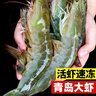 海云馨蝦活蝦速凍生鮮青島大蝦海蝦海鮮水產(chǎn)鮮活冷凍凍蝦超大白蝦 14-17cm整箱 3斤(凈重)  活蝦速凍 曬單實(shí)拍圖