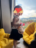 babycare兒童保溫杯小松鼠嬰兒寶寶學(xué)飲杯不銹鋼吸管水杯壺學(xué)生上學(xué)300ml 曬單實(shí)拍圖