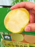孔雀金枝 庫爾勒香梨 新疆樹(shù)上熟沙依東園區核心產(chǎn) 當季采摘 脆甜多汁 潤小萌孔雀金枝庫爾勒香梨一級家庭裝5斤 曬單實(shí)拍圖