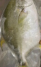 翔泰 海南金鯧魚凈重900g 2條裝  魚類生鮮 火鍋食材 海鮮水產(chǎn)  曬單實(shí)拍圖