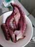 格雷緣脆口魷魚(yú)須新鮮冷凍大章魚(yú)須足八爪魚(yú)燒烤火鍋商用半成品海鮮水產(chǎn) 【超大號】脆口須魷魚(yú)須 10斤(凈重)  曬單實(shí)拍圖