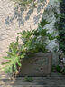 漢韻堂庭院造景戶外方形花盆天臺(tái)大花缸陽臺(tái)別墅花園種植花池?cái)[件 A165-1錦上添花花盆 曬單實(shí)拍圖