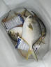 勛勛之海金鯧魚新鮮冷凍特大鯧鳊魚金昌魚海魚鮮活海鮮平魚白鯧冰鮮銀鯧魚 2斤裝【500g*2條】 曬單實拍圖