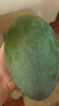 京地達攀枝花凱特芒果 9斤巨無(wú)霸單果650g+肉厚無(wú)絲新鮮水果源頭直發(fā) 曬單實(shí)拍圖