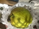 康田匯 陜西徐香獼猴桃 綠心奇異果孕婦當季時(shí)令新鮮水果送禮品包郵 精選24個(gè)單果60-90g超值裝 源頭直發(fā) 曬單實(shí)拍圖