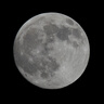 索尼（SONY）全畫(huà)幅遠攝變焦 G大師鏡頭FE200-600mm遠攝變焦G鏡頭 運動(dòng) 野外 打鳥(niǎo) SEL200600G 曬單實(shí)拍圖