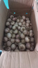 新鮮大蒜2025新蒜頭獨(dú)頭大蒜紫皮蒜苔批發(fā)糖醋大蒜新鮮大蒜 25mm-30mm 中果 5斤裝 曬單實(shí)拍圖