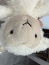 Jellycat小羊公仔動(dòng)物毛絨玩偶潮玩安撫娃娃陪伴公仔生日新婚禮物 乳白色 Little 曬單實(shí)拍圖