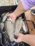 千峰劍魚(yú)竿手竿套裝釣魚(yú)竿裝備全套一套超輕溪流桿短節海竿品牌漁具用品 4.5m +3.6米+釣魚(yú)禮包 曬單實(shí)拍圖
