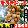 綠聯(lián)適用華為蘋(píng)果筆記本電腦充電線Type-C數(shù)據(jù)線雙頭PD100W超級(jí)快充ctoc小米榮耀蘋(píng)果17/16e/15線2米 曬單實(shí)拍圖