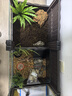 爬將軍烏龜缸特大號超白玻璃底部排水烏龜缸生態(tài)別墅自由拆裝混養生態(tài)缸 兩聯(lián)裝咖色【水陸雙區造景】 曬單實(shí)拍圖