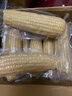 佟創(chuàng  )東北白糯玉米 新鮮糯甜玉米棒子 真空包裝玉米生鮮黏玉米 東北白糯玉米4.5斤6-8棒280g+ 曬單實(shí)拍圖