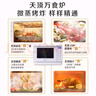 松下（Panasonic）【國(guó)家補(bǔ)貼】上烤下蒸萬(wàn)食爐高效速熱均勻著色23L家用臺(tái)式變頻微蒸烤炸一體機(jī)DS37 曬單實(shí)拍圖