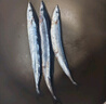 賣(mài)魚(yú)七郎大號秋刀魚(yú)2斤 新鮮海捕鮮活冷凍日料生鮮燒烤食材海鮮魚(yú)類(lèi) 曬單實(shí)拍圖