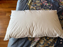 斯得福雙面蕎麥枕頭護頸枕芯五星級酒店專(zhuān)用頸椎枕家用高枕軟枕羽絨枕頭 鵝絨蕎麥雙面枕 單只 (睡下5-6cm) 48cm*74cm 曬單實(shí)拍圖