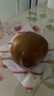 天福號松仁小肚250g 曬單實(shí)拍圖