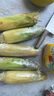 京鮮生&佳農(nóng)寶菜山東水果玉米單根275g+鮮甜多汁4-7根凈重4.6斤源頭直發(fā) 曬單實(shí)拍圖