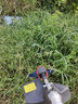德力西大功率電動(dòng)割草機手持充電式打草機小型家用農用開(kāi)荒鋰電除草神器 晉階版【5節2.0Ah】1電1充 【中國500強企業(yè)】全新官方正品 曬單實(shí)拍圖
