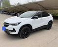 skingcond德國車(chē)窗潤滑劑汽車(chē)玻璃升降天窗軌道專(zhuān)用潤滑脂車(chē)門(mén)異響消除神器 【納米潤滑 一噴無(wú)異響】1瓶車(chē)窗潤滑劑送噴管 曬單實(shí)拍圖