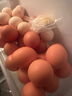 蘭皇無(wú)菌蛋omega-3營(yíng)養型新鮮雞蛋類(lèi)可生吃食用糖溏心蛋溫泉蛋禮盒裝 30枚 曬單實(shí)拍圖