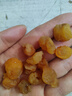 北京同仁堂新貨桂圓肉干無(wú)核特級龍眼肉干厚元肉干正品 【優(yōu)選特級大果】桂圓肉1罐250克 曬單實(shí)拍圖