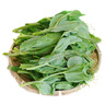 【嫩芽尖尖】豌豆尖250g(長度≤15cm) 曬單實拍圖