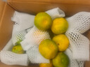 京鮮生 云南蜜桔 凈重5斤 單果55mm+生鮮水果 源頭直發(fā)包郵 曬單實(shí)拍圖