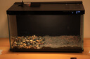 米家（MIJIA）小米米家智能生態(tài)魚缸還原自然生態(tài)補倉一次三月無憂出差旅行必備 曬單實拍圖