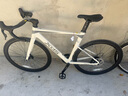喜德盛公路自行車(chē)2025款AD300油碟UCI車(chē)架2x10速中空一體牙盤(pán)桶軸破風(fēng)車(chē) 白蛇 540mm 曬單實(shí)拍圖