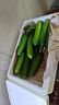 山東壽光水果黃瓜生吃脆新鮮荷蘭青瓜當季無(wú)刺小黃瓜源頭直發(fā) 精品水果黃瓜凈重 4.5斤 曬單實(shí)拍圖
